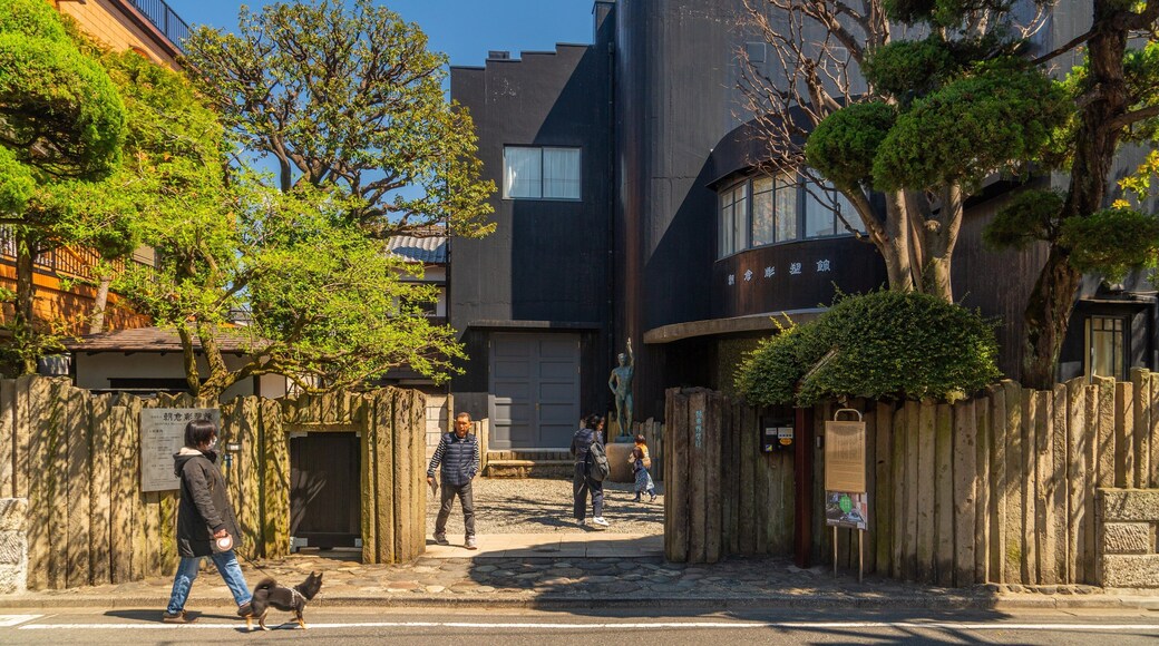 St Maarten and St Martin featuring cuddly or friendly animals and street scenes as well as an individual femail