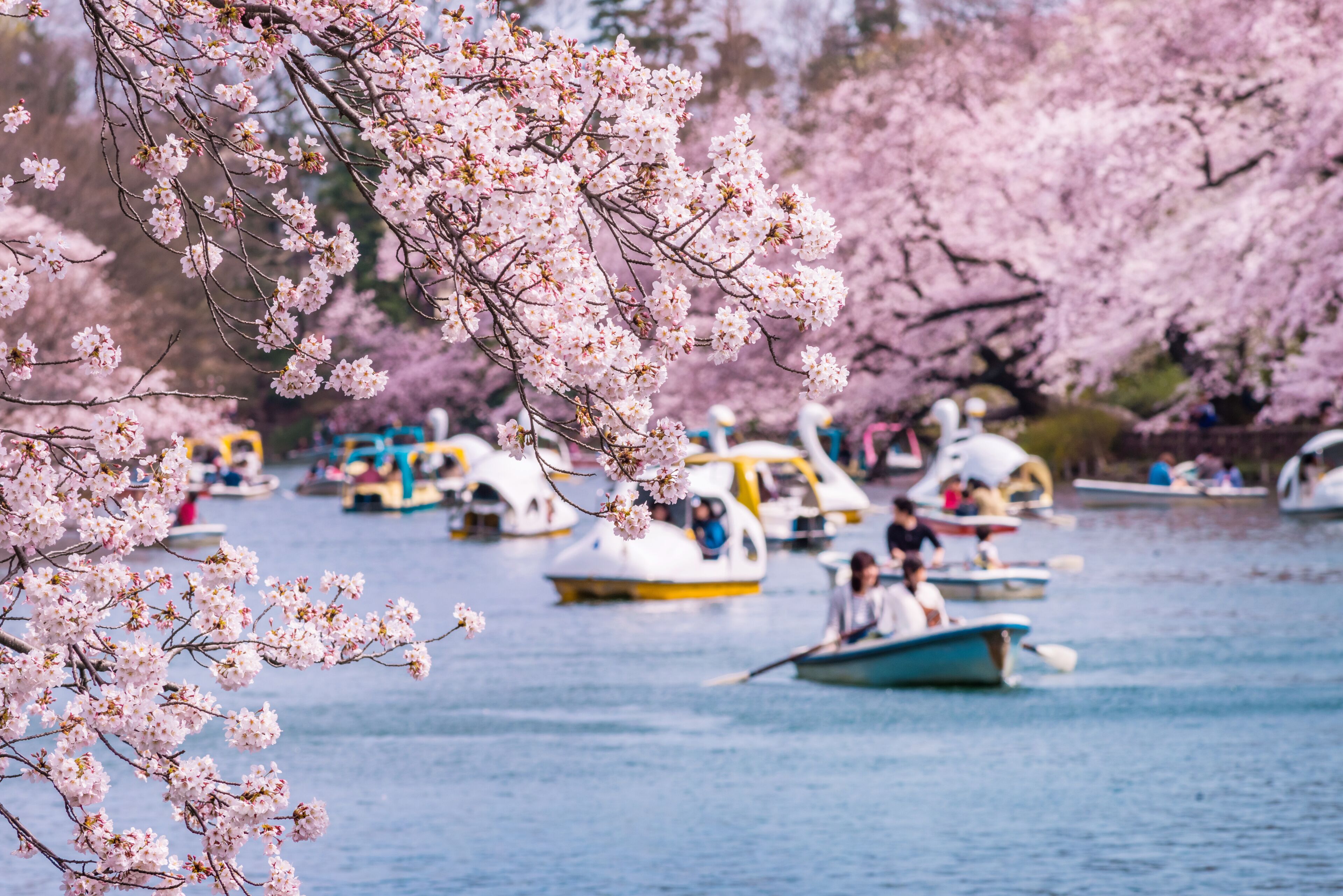 井之頭公園