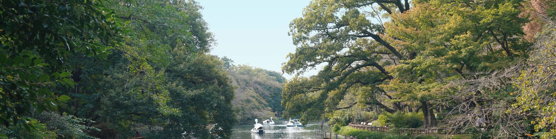 Tokyo_InokashiraPark_6076388_02