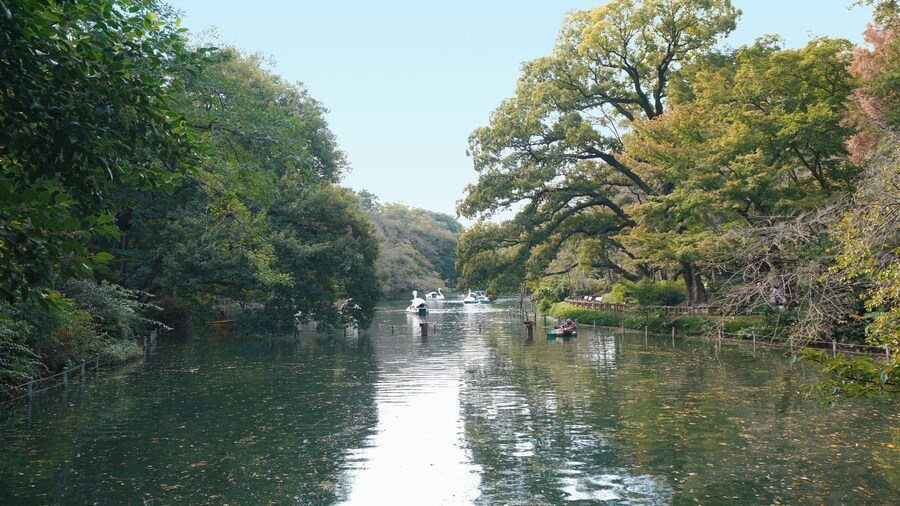 Tokyo_InokashiraPark_6076388_02