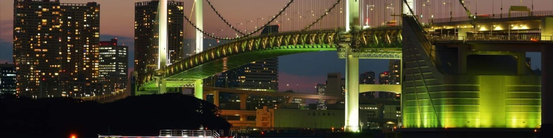 Rainbow Bridge showing a city, general coastal views and night scenes