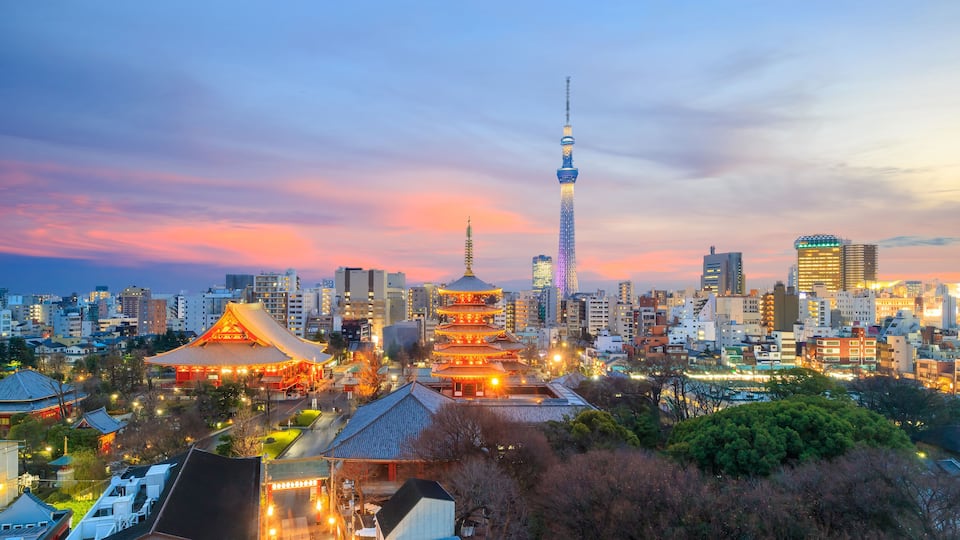 View of Tokyo skyline at twilight