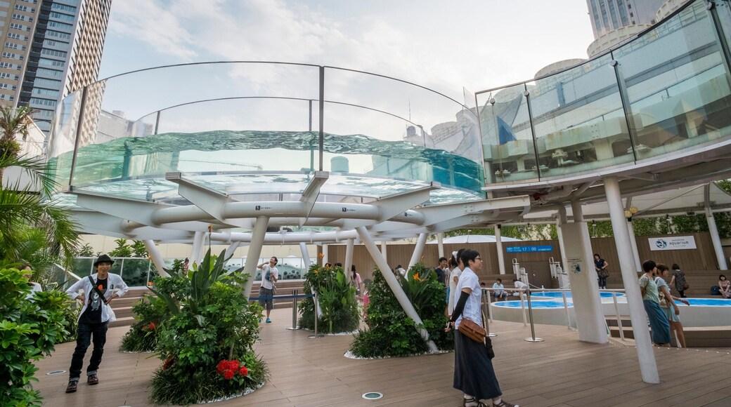 JW9C1M Japan, Tokyo, Ikebukuro, Sunshine Aquarium