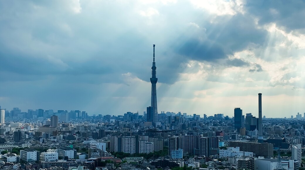 Instituto de Tecnología de Tokio