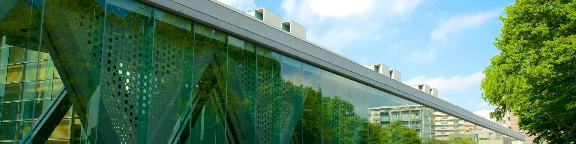 Tokyo Museum of Contemporary Art featuring a city, city views and art