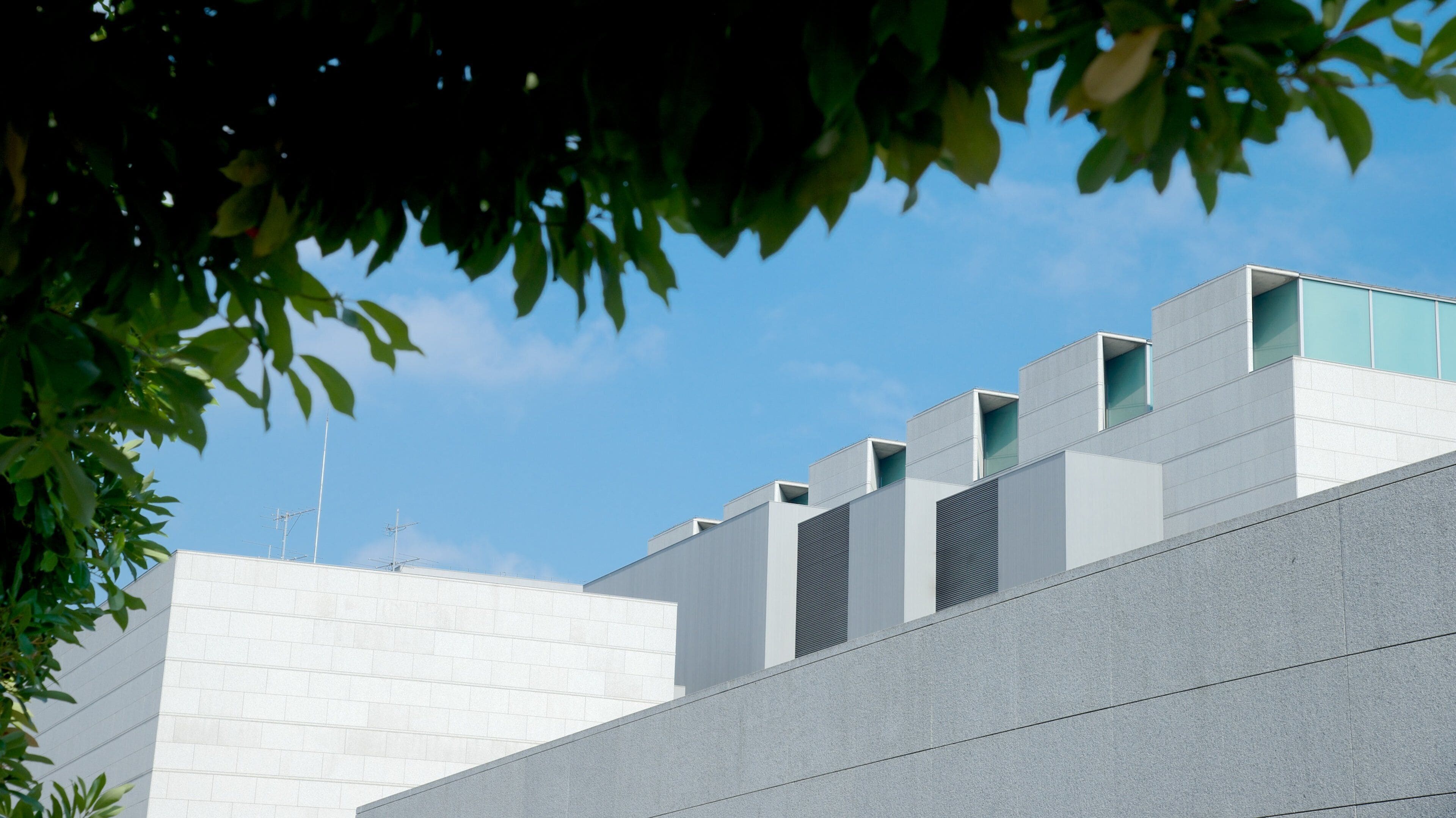 Um edifício moderno com telhado plano e uma grande parede branca.