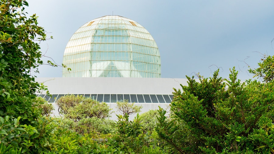 Tokyo Sea Life Park showing modern architecture