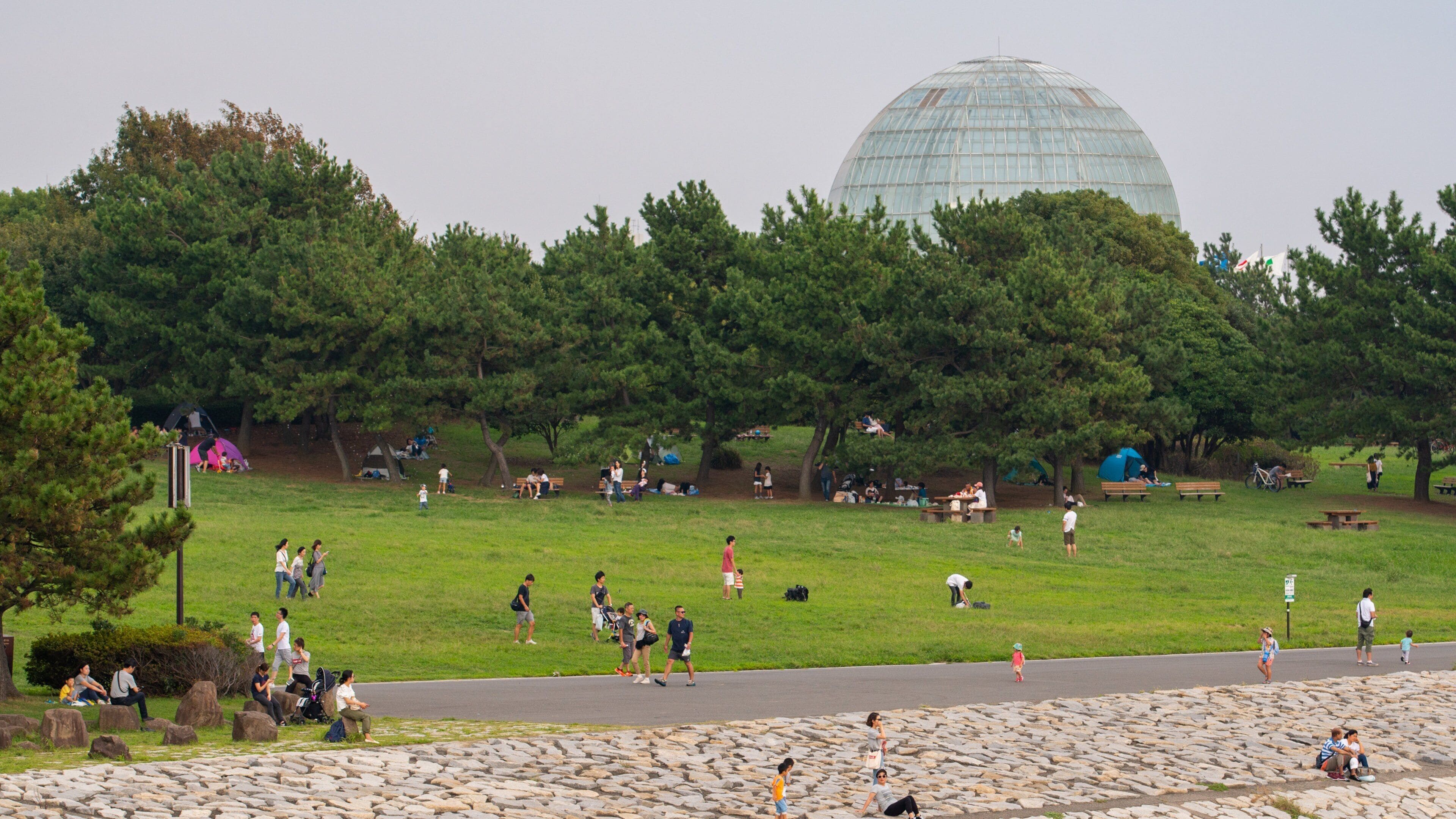 Tokyo Sea Life Park showing a garden