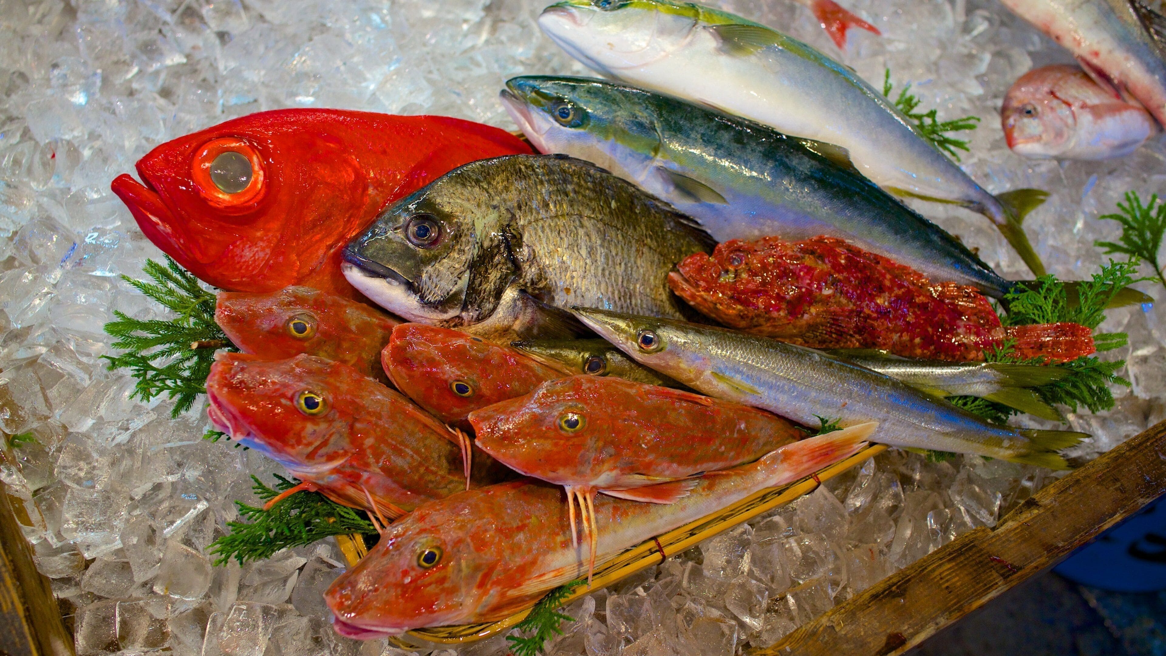 Toyosu Market which includes food and markets