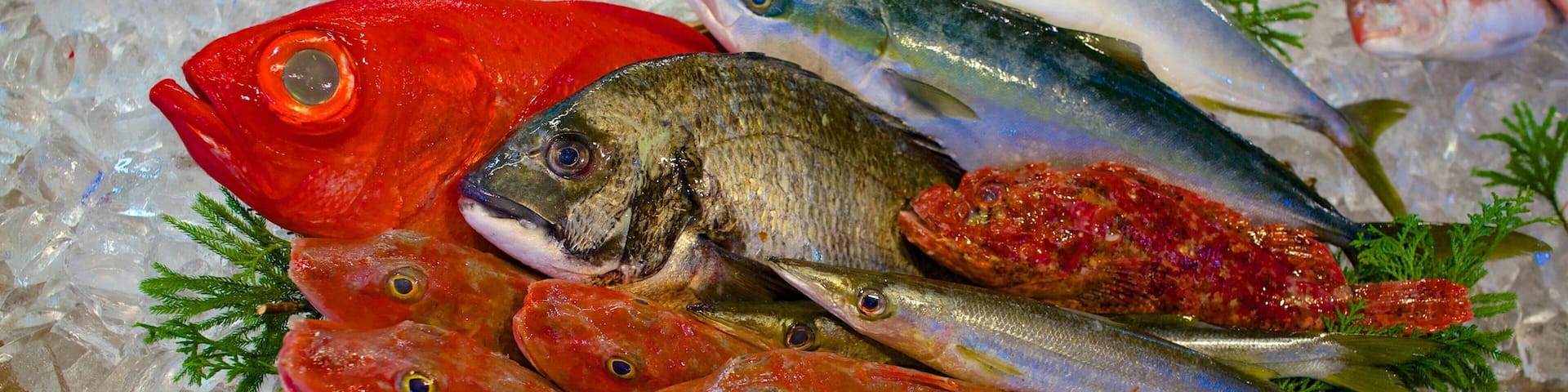 Toyosu Market which includes food and markets