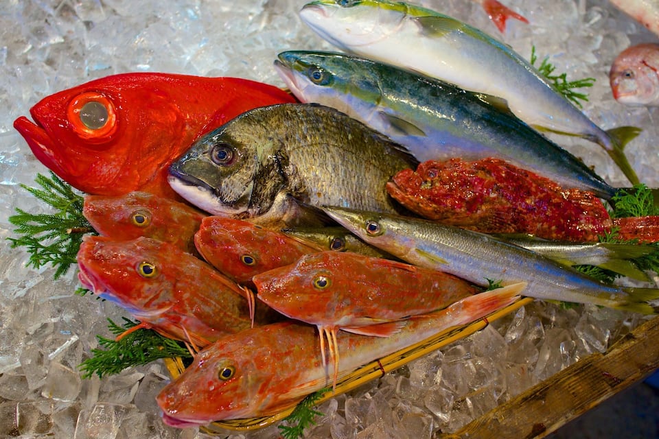Diverses peces de peix fresc sobre gel, incloent mero, daurada i truita, algunes decorades amb herbes aromàtiques.
