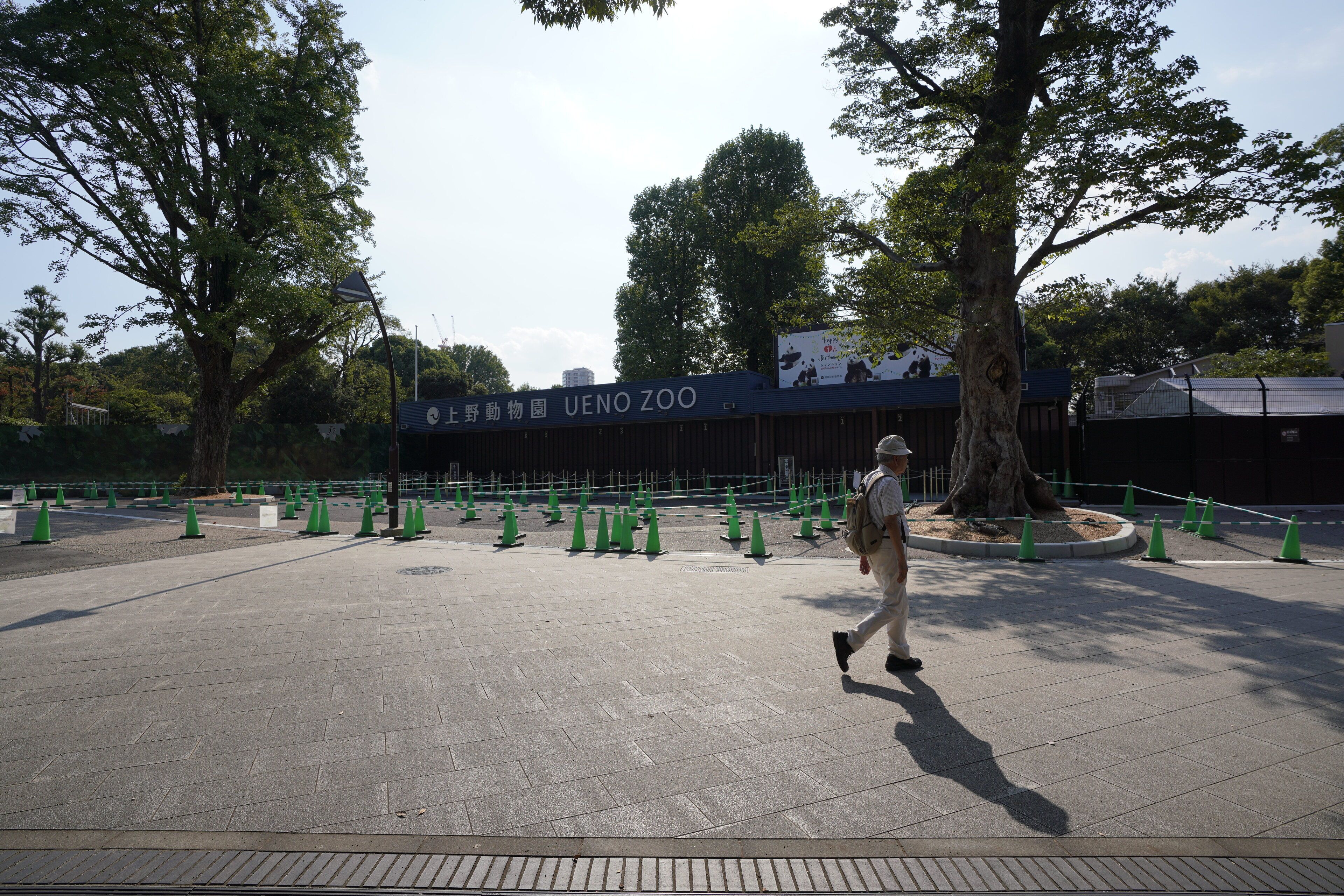 Ueno Zoo Tours - Book Now | Expedia