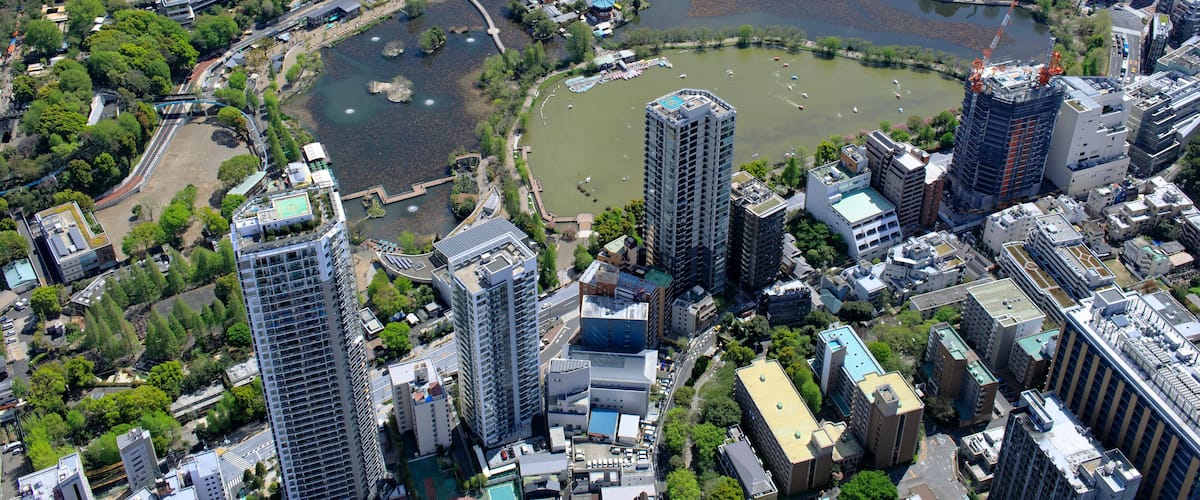 上野恩賜公園不忍池/空撮