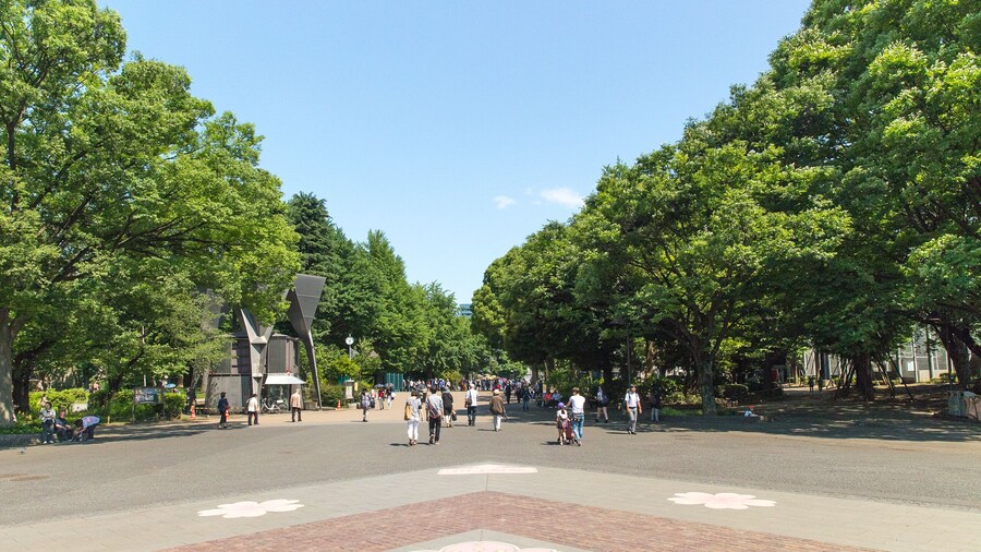 上野恩賜公園(上野公園)