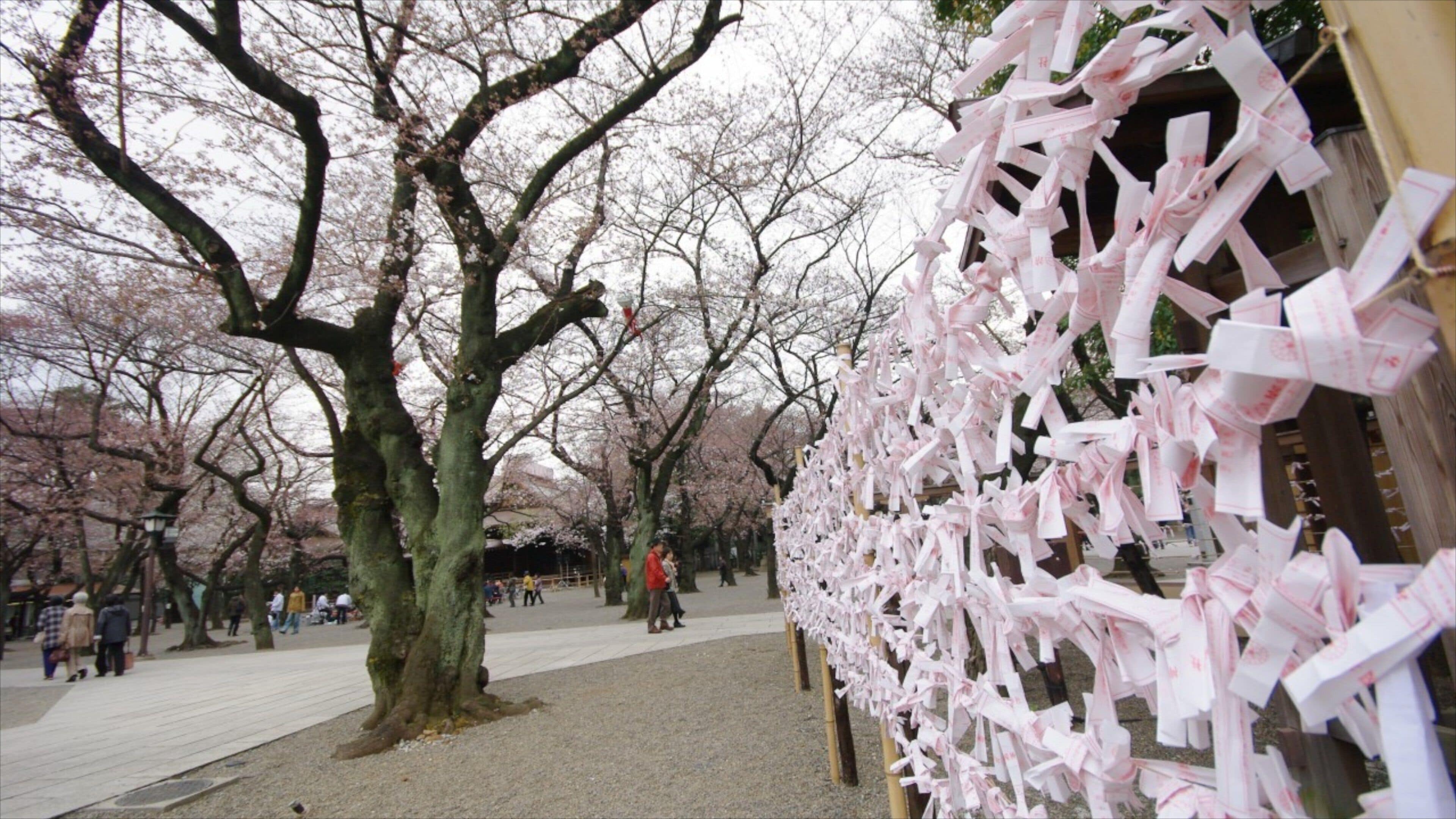 Yasukuni Shrine showing a garden