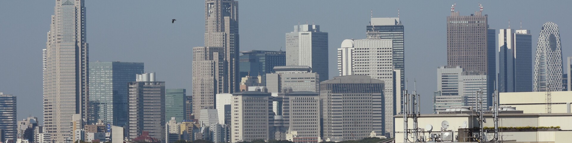 日本の東京都市景観・新宿区の副都心などを望む