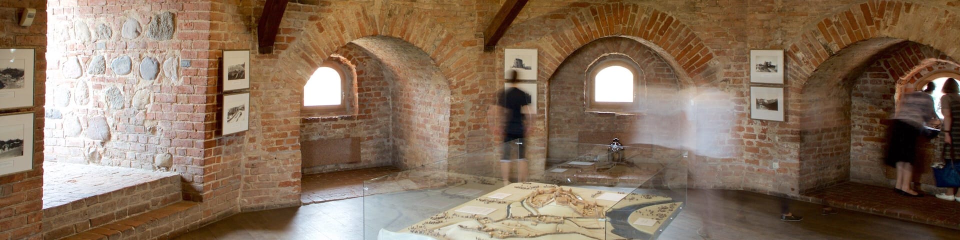 Torre Gediminas mostrando vistas de interior y elementos patrimoniales