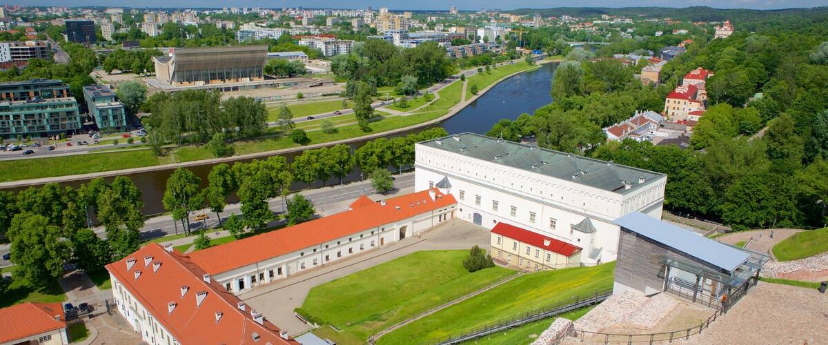 Torre Gediminas mostrando una ciudad y un río o arroyo