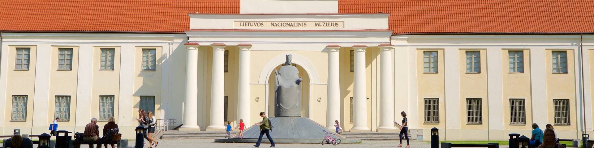 Litauisches Nationalmuseum das einen Palast oder Schloss