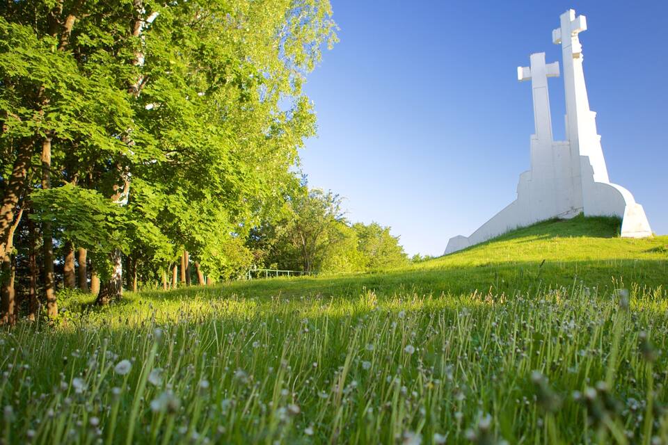 A white cross monument on a grassy hill with trees in the background.