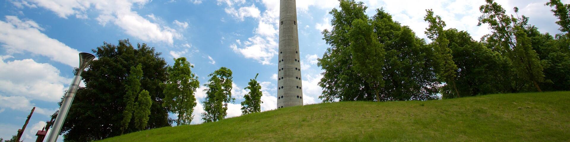 Vilnius TV Tower showing a park
