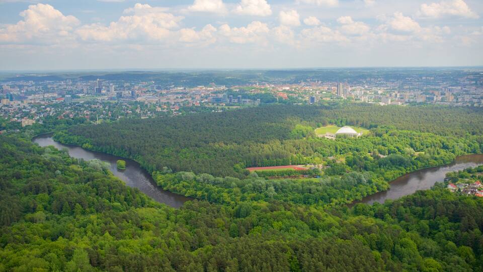 Ein Fluss schlängelt sich durch eine dicht bewaldete Landschaft, im Hintergrund eine Stadtansicht.