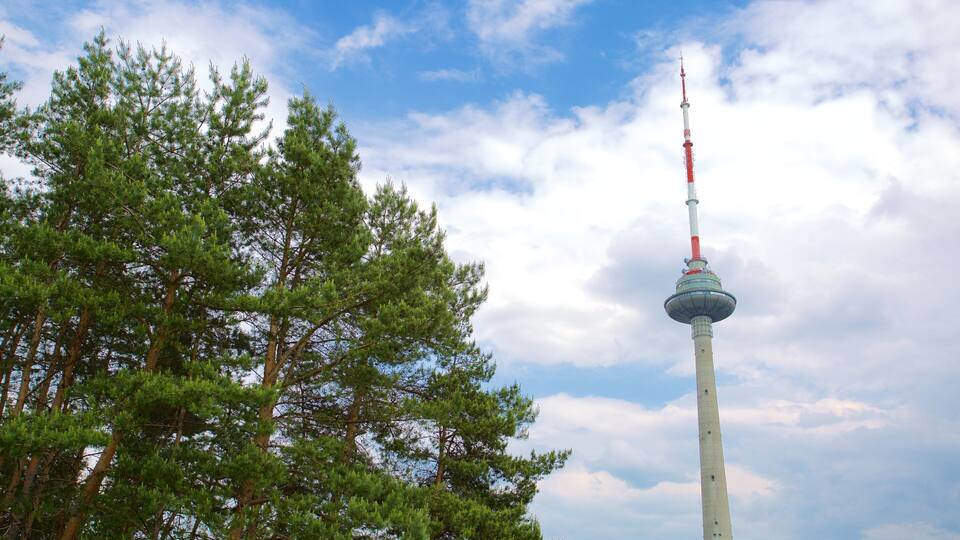 Ein Turm mit einer kugelförmigen Aussichtsplattform und einer rot-weißen Antenne, umgeben von Kiefern.