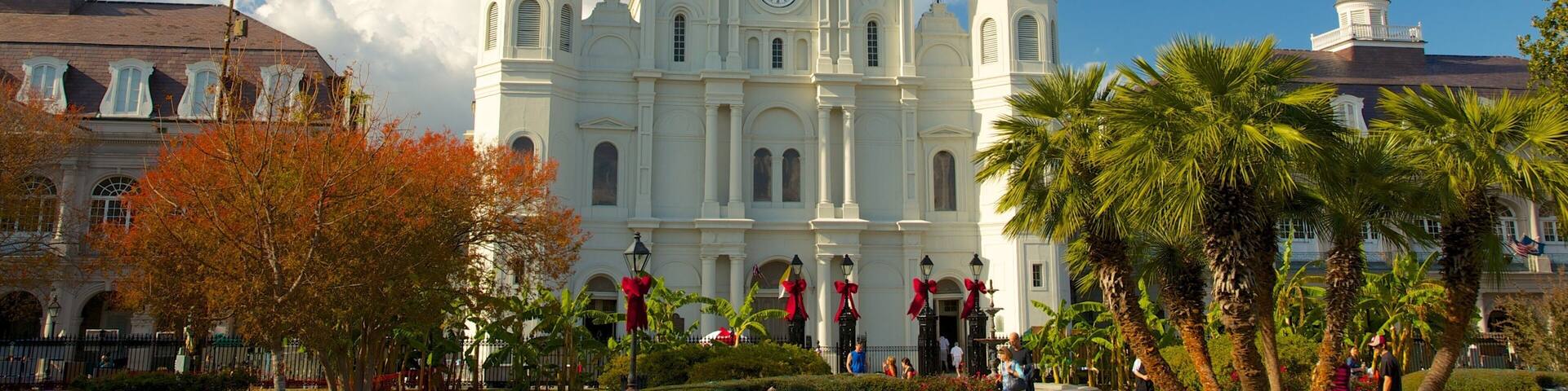 Catedral de San Luis ofreciendo una iglesia o catedral, elementos religiosos y una ciudad