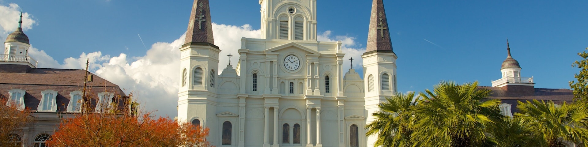 Catedral de San Luis que incluye aspectos religiosos, una iglesia o catedral y una ciudad