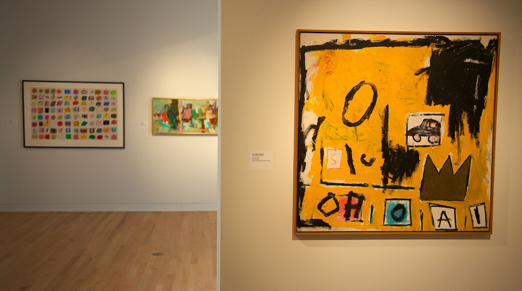 New Orleans Museum of Art featuring art and interior views