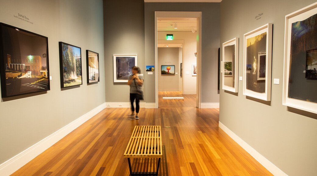 Ogden Museum of Southern Art featuring interior views and art