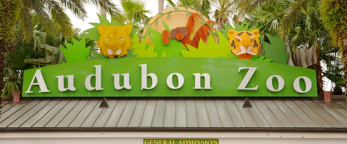 Explore Audubon Zoo featuring diverse wildlife and lush landscaping in New Orleans, Louisiana