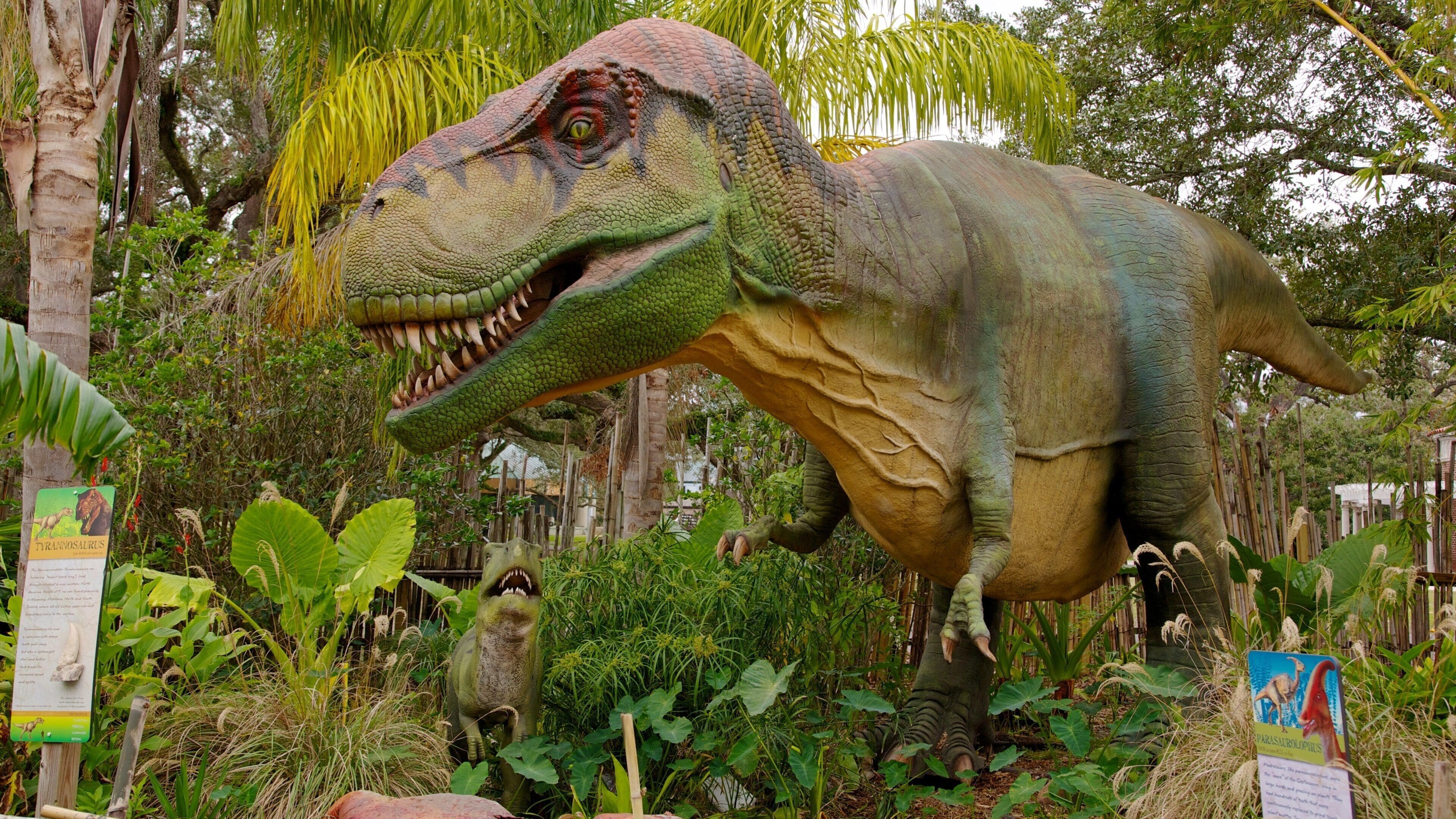 Audubon Zoo montrant animaux de zoo