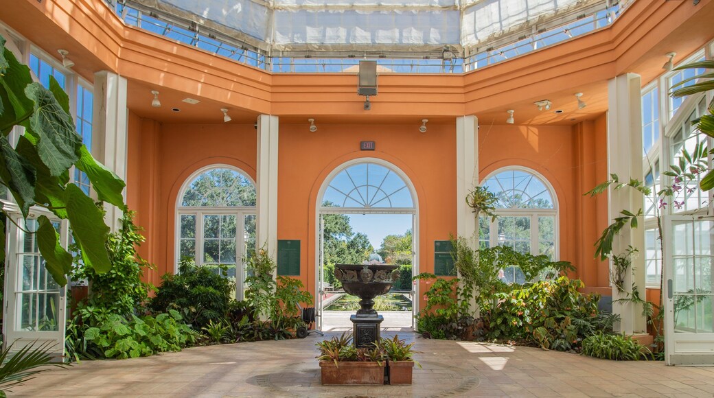 New Orleans Botanical Garden featuring interior views and a garden