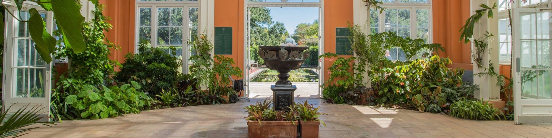 New Orleans Botanical Garden featuring interior views and a garden
