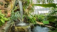 New Orleans Botanical Garden which includes interior views, a fountain and a park