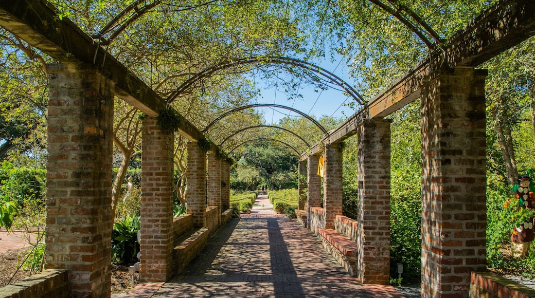 New Orleans Botanical Garden which includes a garden