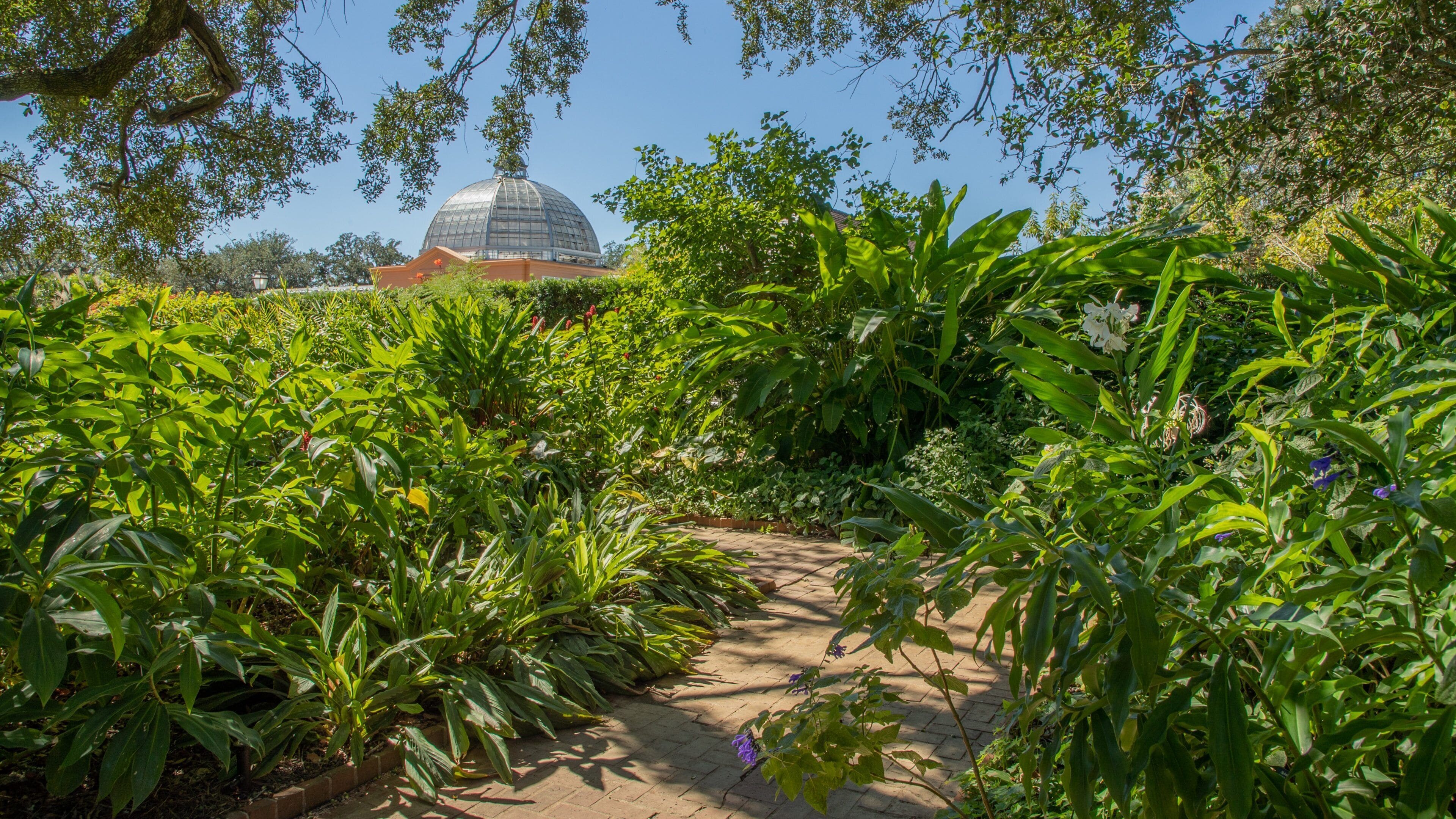 New Orleans Botanical Garden Tours - Book Now | Expedia