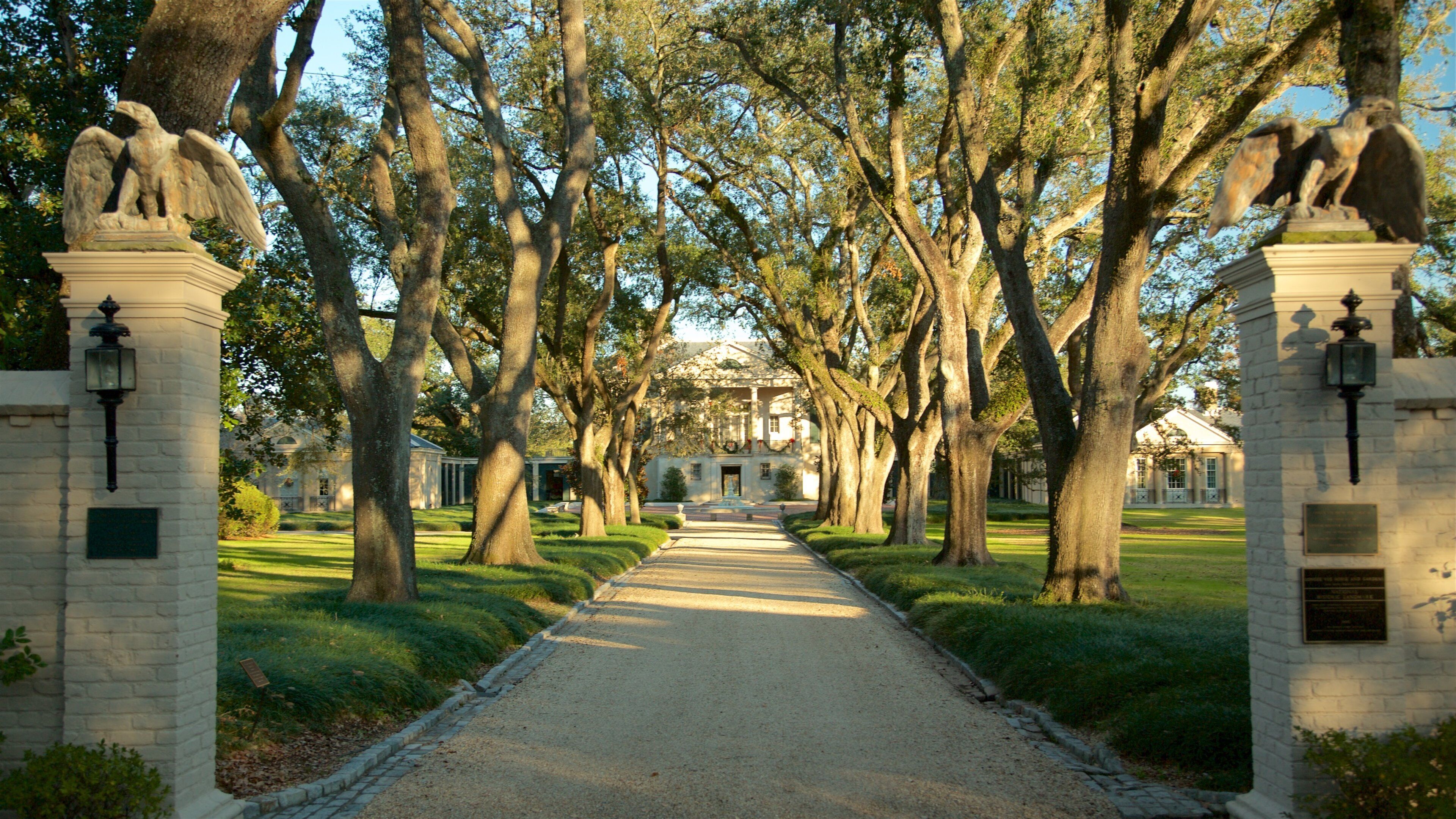 Longue Vue House and Gardens featuring a park
