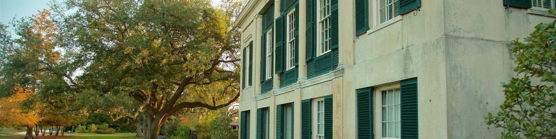 Longue Vue House and Gardens showing a park and wildflowers