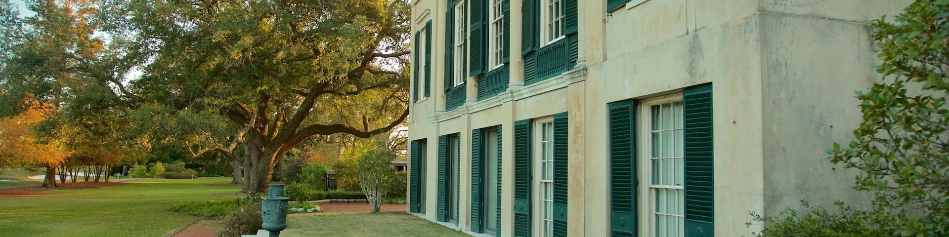 Longue Vue House and Gardens showing a park and wildflowers
