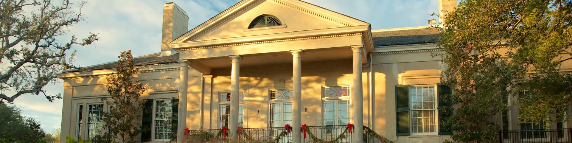 Longue Vue House and Gardens showing a house, a park and heritage elements