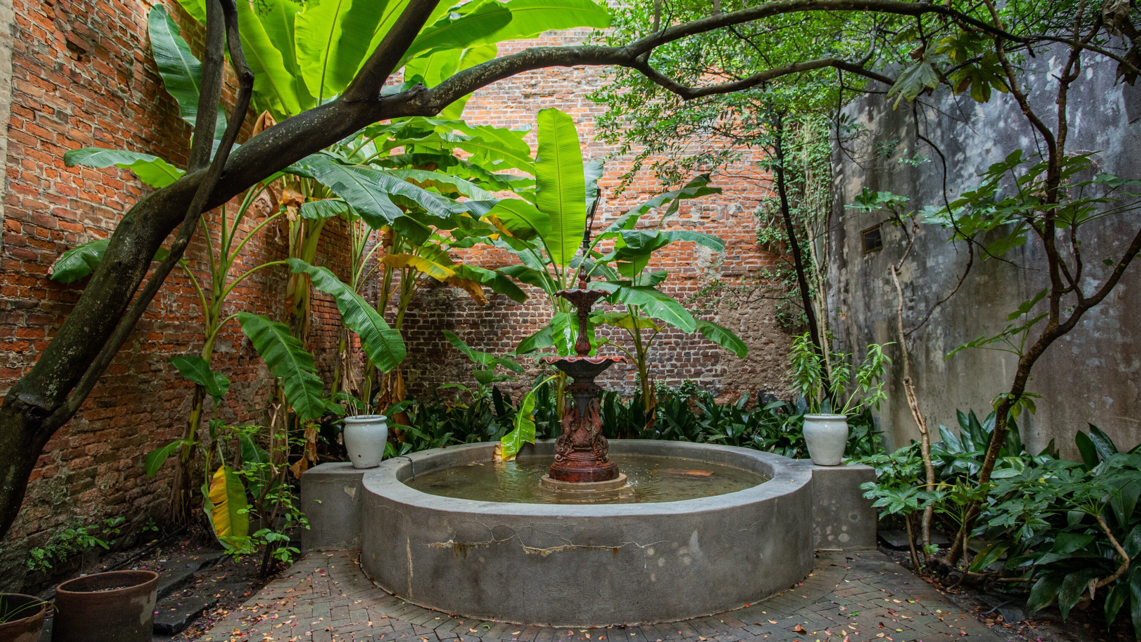 New Orleans Pharmacy Museum showing a fountain and a park