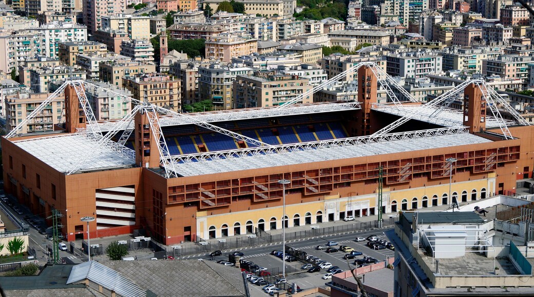 路易吉費拉里斯體育場