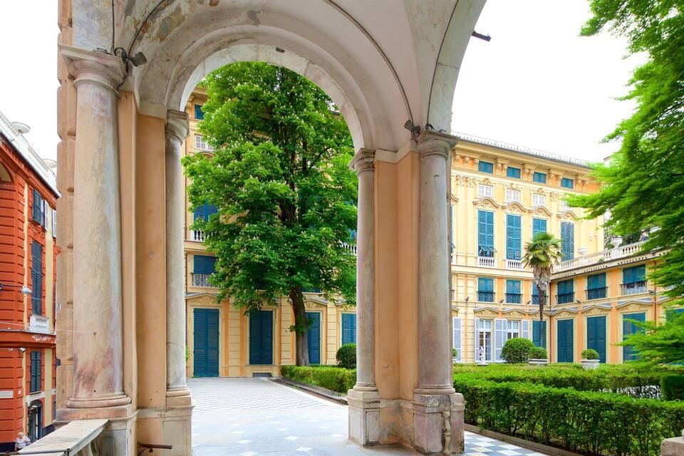 Un corredor arquitectónico con columnas, un árbol y edificios con contraventanas azules.