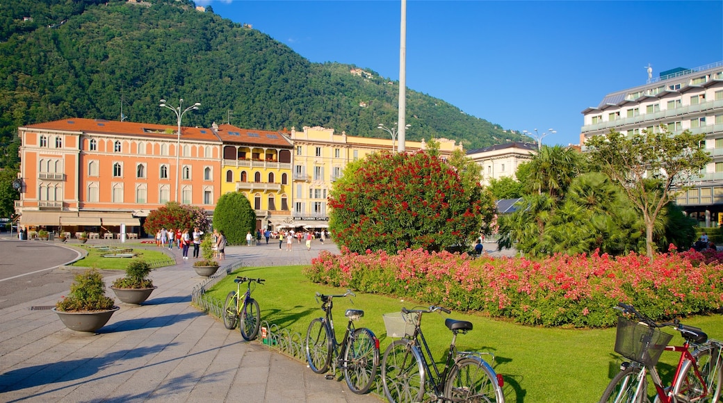 Piazza Cavour which includes a park, a small town or village and a square or plaza