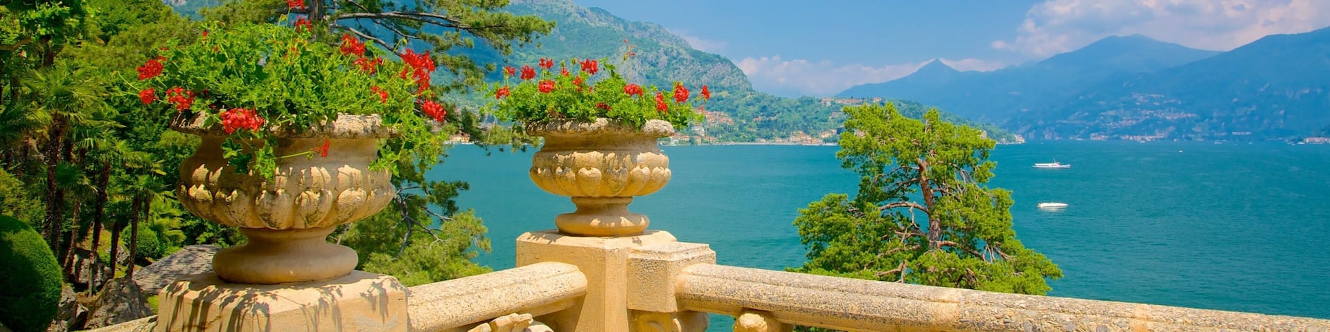 Lake Como showing general coastal views, views and flowers
