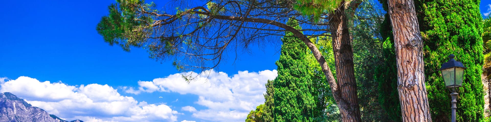 Scenic lakeside promenade in Malcesine, Lake Garda. Sunny walking path under pine trees with a view of the historic town and Scaliger Castle.