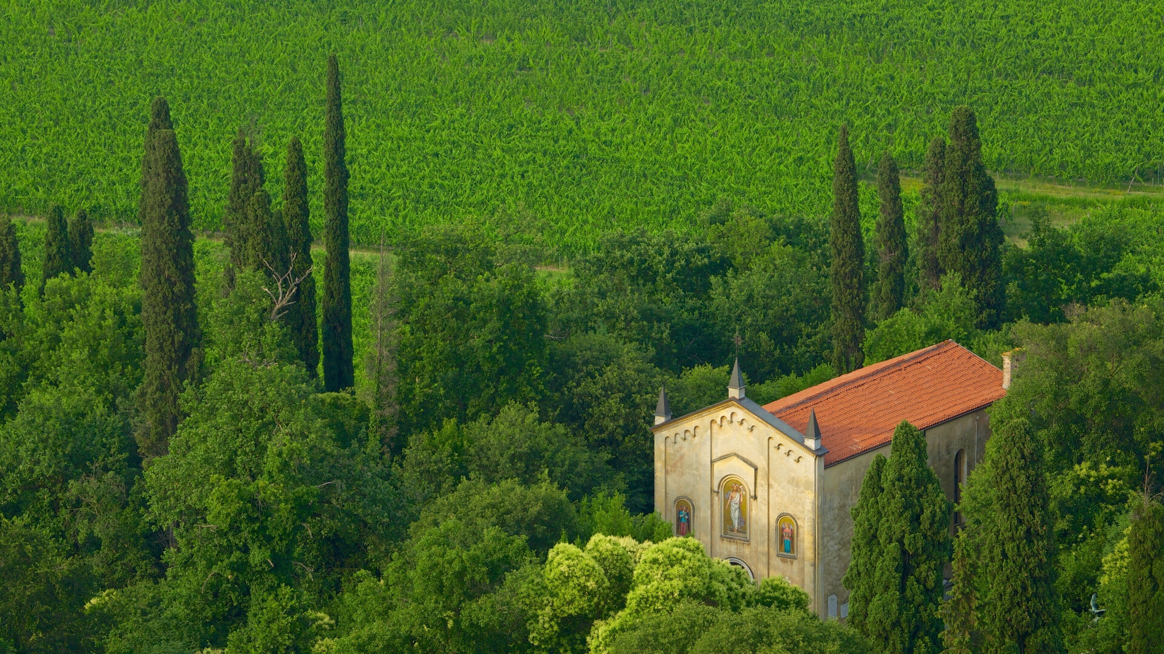 Tower of St. Martin which includes farmland and a church or cathedral