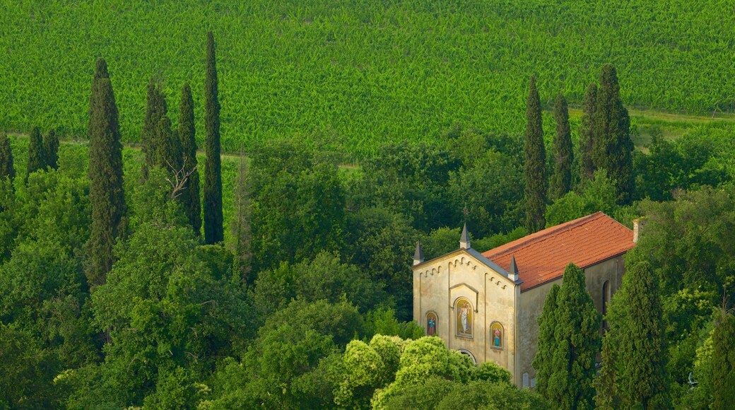 Torre di San Martino mostrando tierras de cultivo y una iglesia o catedral